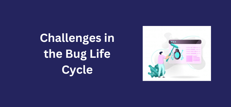 Challenges in the Bug Life Cycle