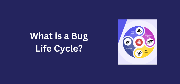 What is a Bug Life Cycle?