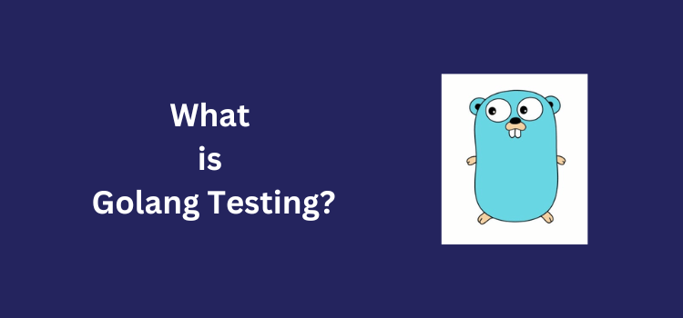 What is Golang Testing